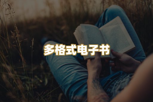 多格式电子书